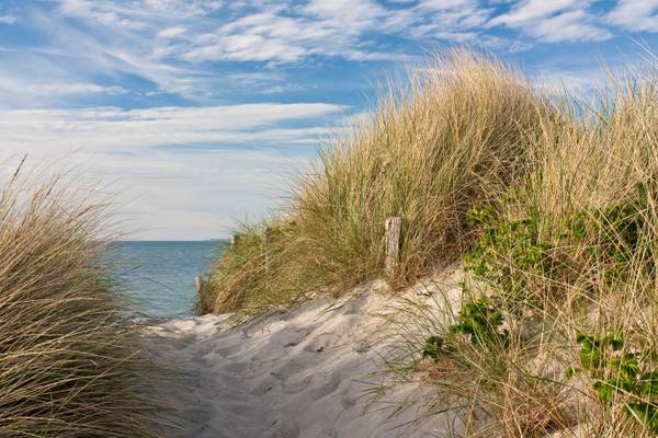 Camping Strandpark De Zeeuwse Kuust Beach